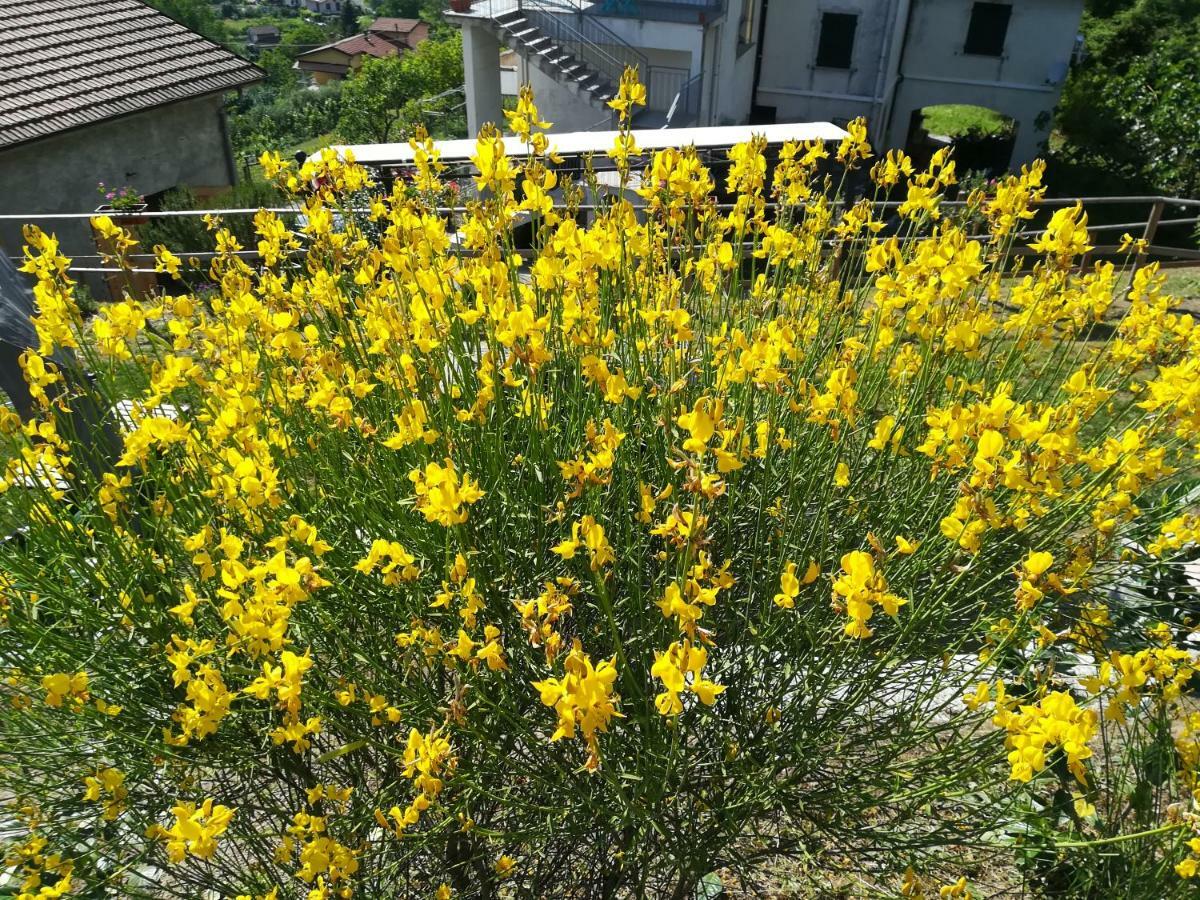 Un Soffio Dal Cielo Apartman Beverino Kültér fotó